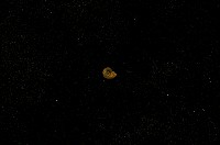 藏品(微小螺)的圖片